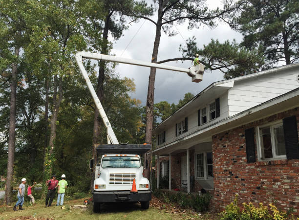 Best Utility Line Clearance  in Othello, WA